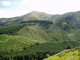 whinlatter forrest  june 2010 005.jpg